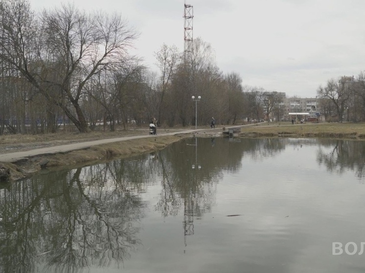 Пробы воды взяты из пруда в Ковыринском парке Вологды