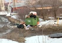 Каждое двадцатое сообщение в соцсетях региона, пришедшее через систему «Инцидент менеджмент» за первую неделю апреля, касается плохой уборки мусора и переполненных контейнеров с отходами во дворах