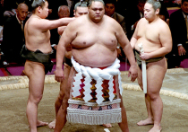 Гавайский гигант поразил Японию
