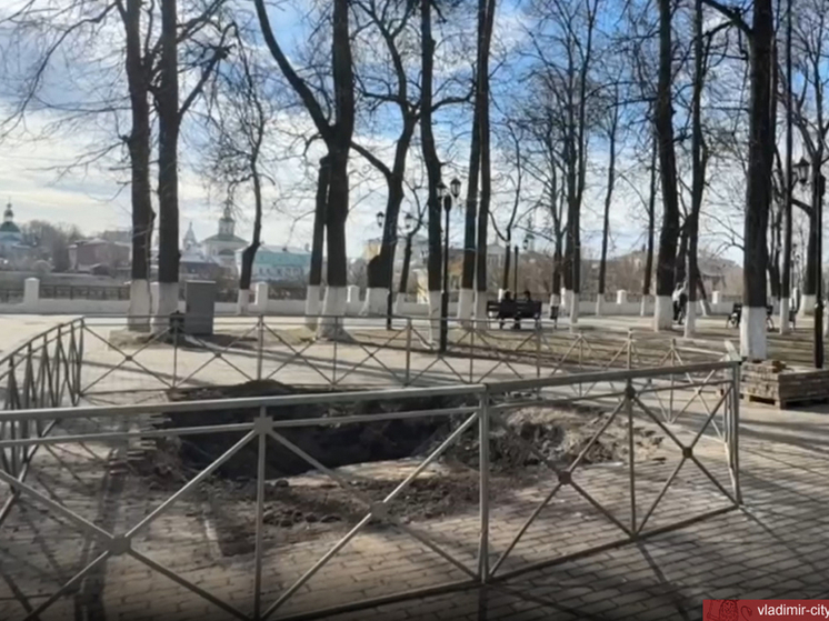 Во Владимире начали готовить место для нового памятника Пушкину