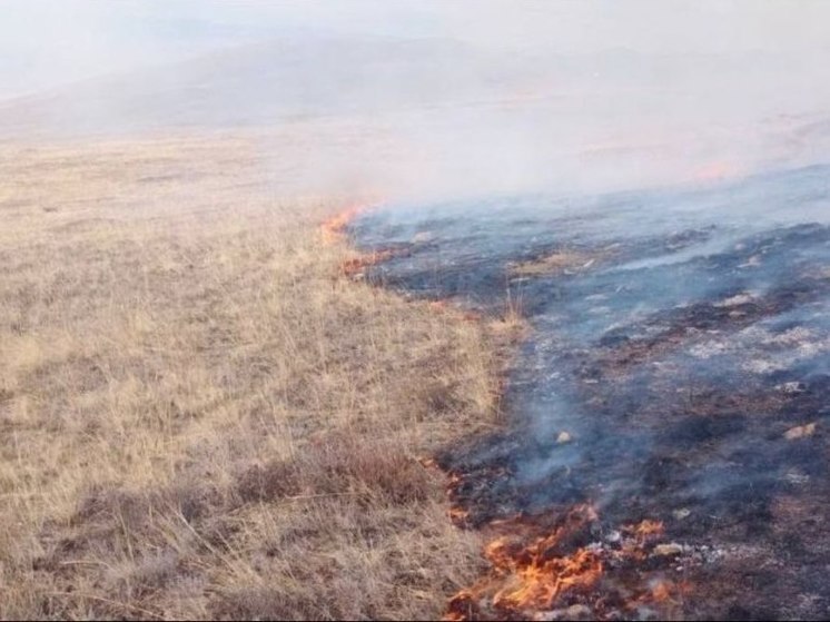 В Бурятии по сравнению с прошлым годом уменьшилась площадь сгоревшей травы