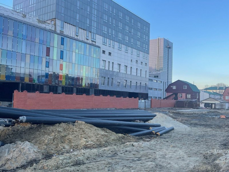 Пензенский мэр рассказал, как идет строительство дороги у цирка