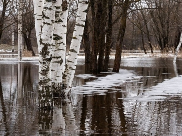 В Тверской области несколько рек могут выйти из берегов