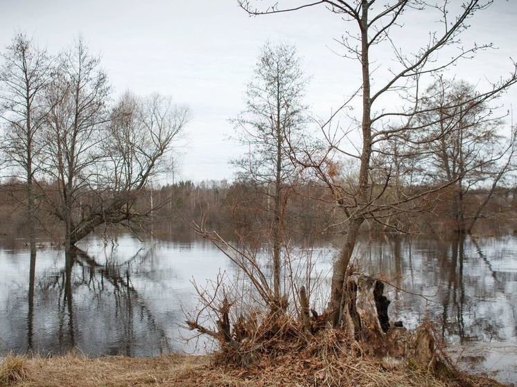 Из-за аномального тепла объявлен «оранжевый» уровень опасности