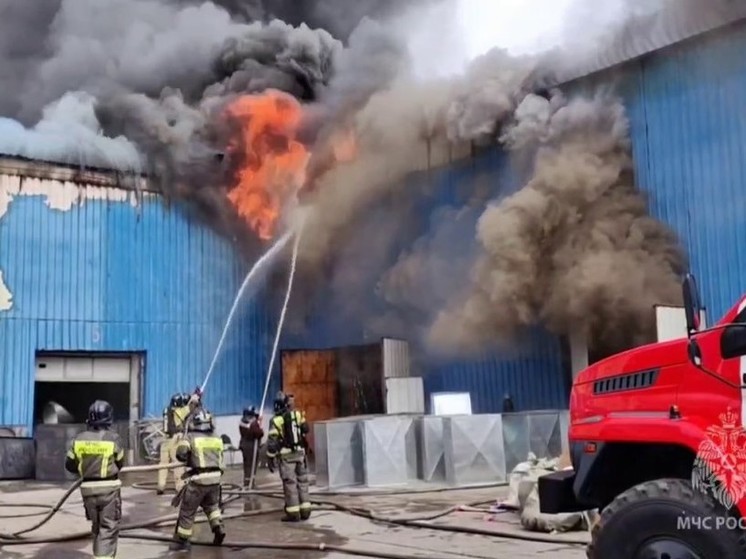 Пожарные вынесли около 20 газовых баллонов из горящего склада в Чите