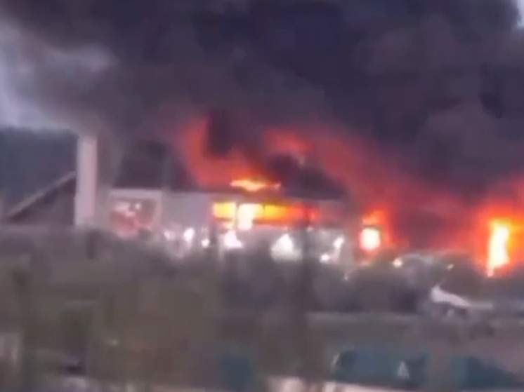 В соцсетях появилось видео пожара на Трипольской ТЭС в Киевской области