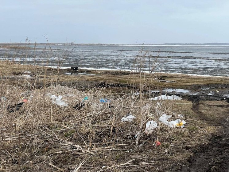 Сахалинцы забили тревогу об экосостоянии пляжа на озере Буссе