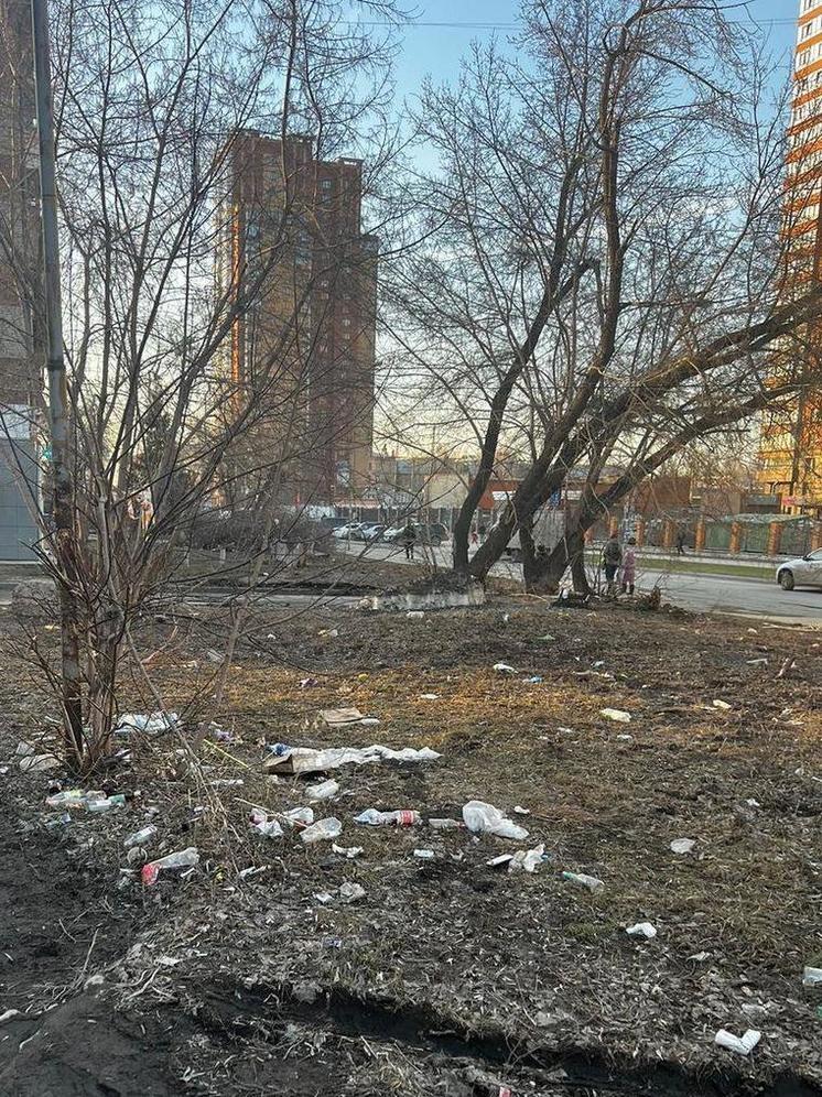 Улицы Новосибирска повязли в грязи и мусоре