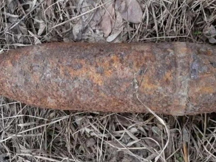 Найдены и обезврежены взрывоопасные предметы времён Великой Отечественной войны