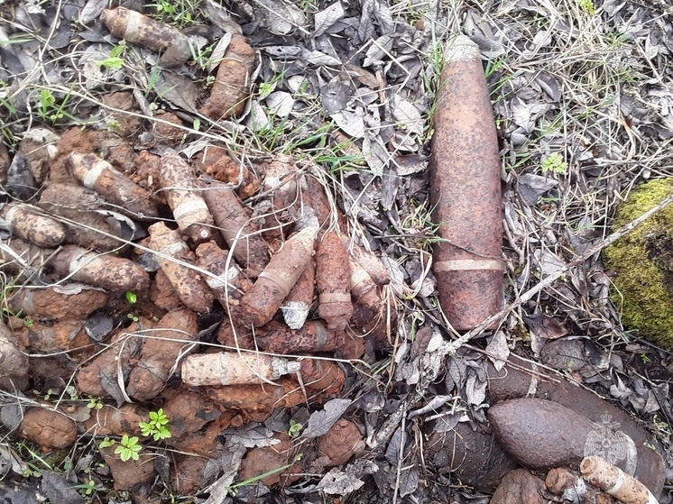 В Тверской области нашли 70 взрывоопасных снарядов