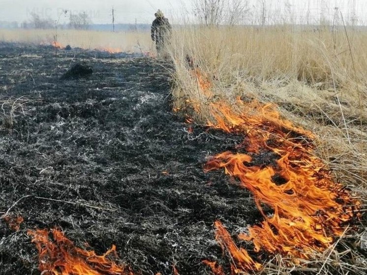 10 апреля в Чувашии произошло сразу два возгорания сухой травы
