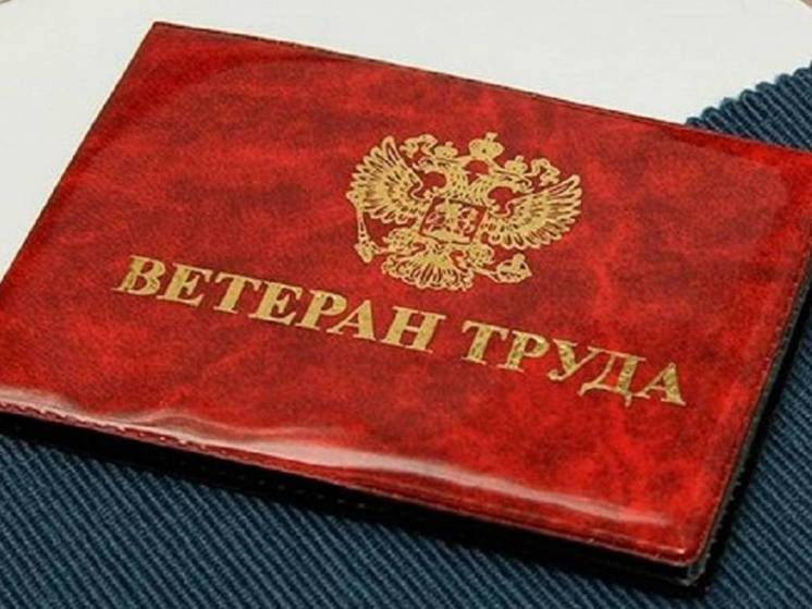 Пенсионер из Воронежа стал «Ветераном труда» через суд