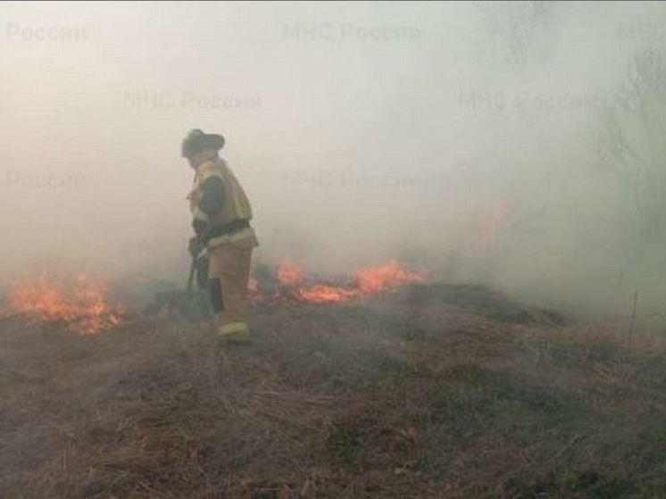 В Орловской области пожарные 16 раз выезжали в места возгорания травы и порубочных остатков