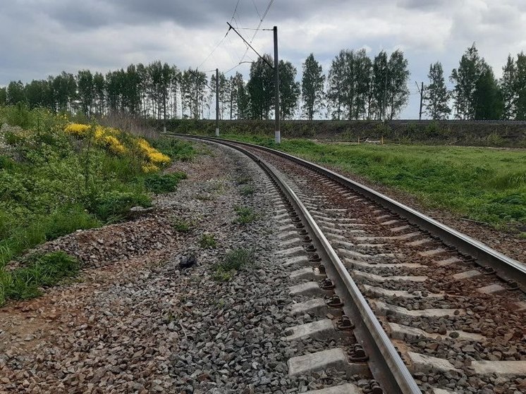 В Калининградской области начнут ходить «дачные» поезда