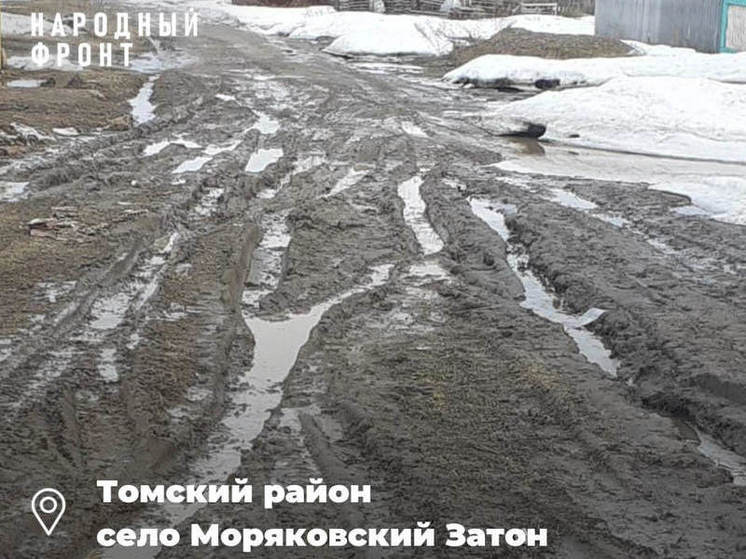 Жители томского села больше 10 лет борются с непроезжими дорогами