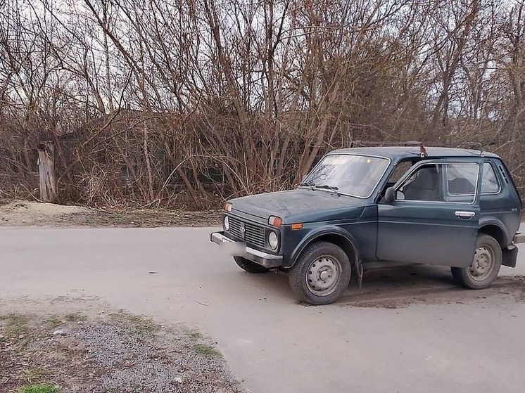 В Шацке водитель «Нивы» сбил 12-летнюю девочку