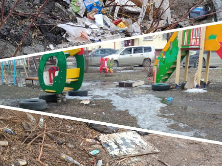 Депутат Ростислав Антонов раскритиковал уборку мусора в Новосибирске