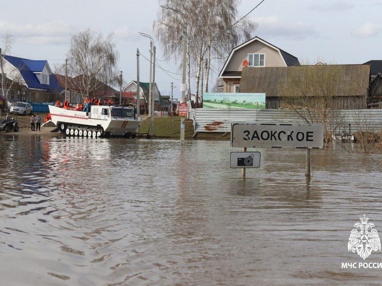В Рязанской области освободились от воды 2 моста, участок дороги и приусадебный участок