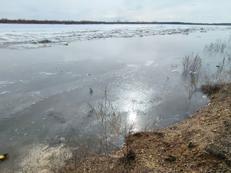 МЧС предупредило о вскрытии реки Томь у села Козюлино