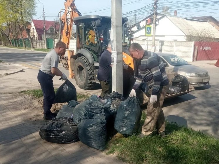В Курске сотрудники мэрии Центрального округа вывезли мусор с нескольких улиц