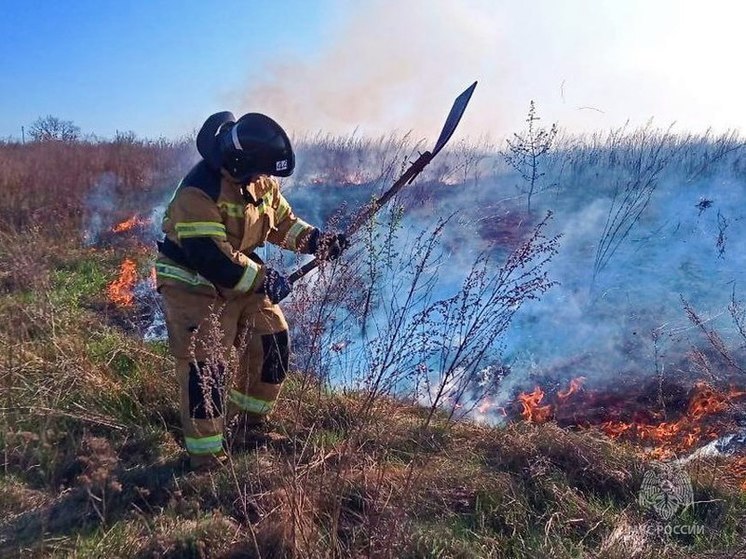 В ДНР объявлен режим пожароопасного периода в лесах