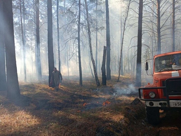 В лесах Приангарья зарегистрированы первые пожары