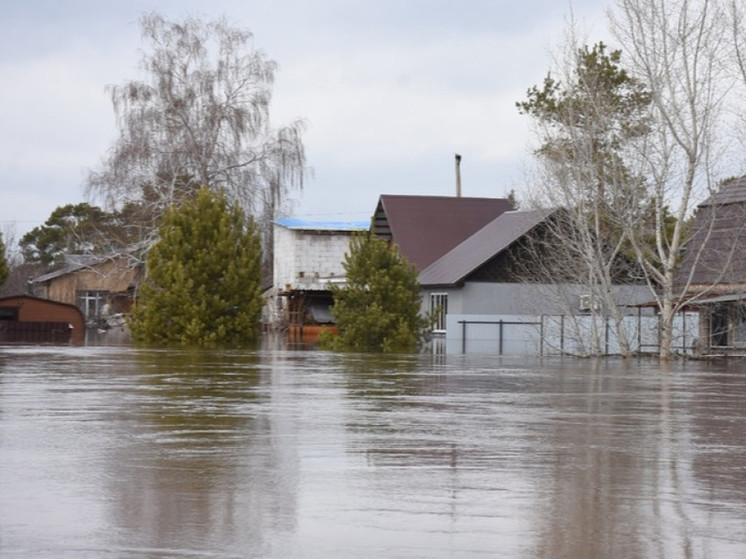 Прикамцы могут присоединиться к сбору средств пострадавшим от паводка в Оренбургской области