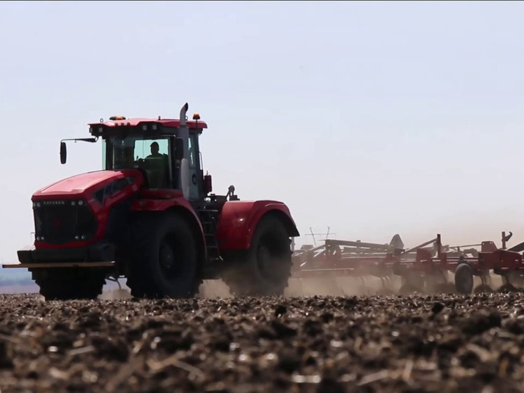 Аграрии ДНР завершают сев зерновых и готовят почву под посадку кукурузы