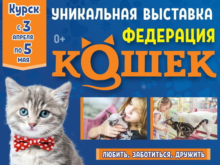 В Курске до 5 мая пройдёт выставка кошек