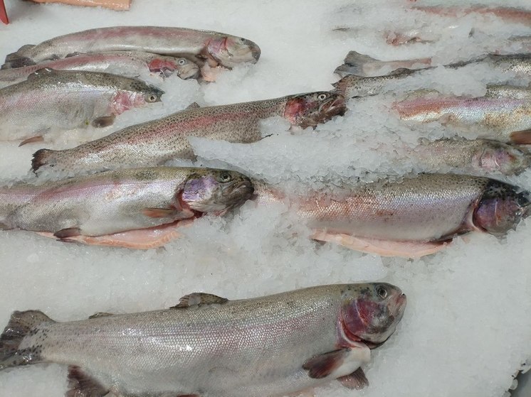 Жители Мурманской области стали меньше потреблять рыбу и морепродукты
