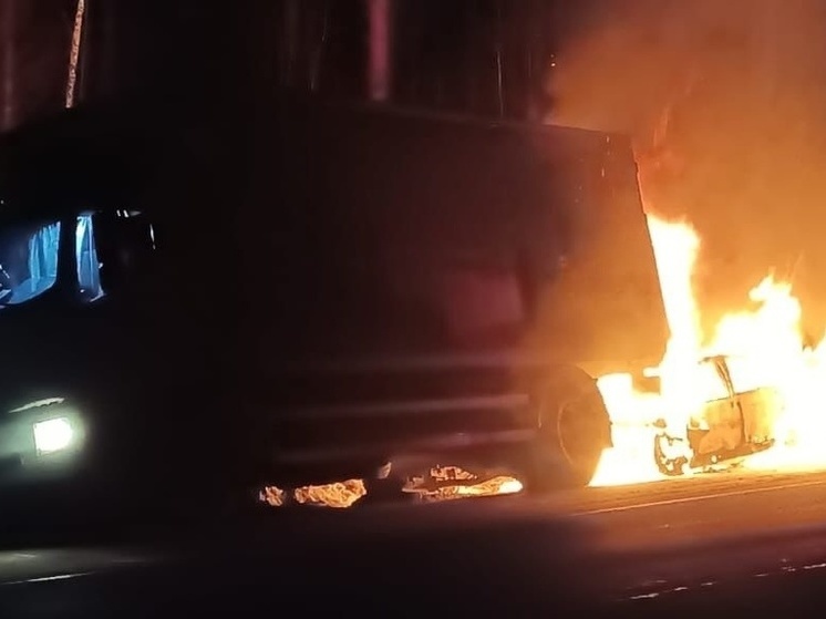 Автомобиль врезался в грузовик и загорелся на трассе в Карелии