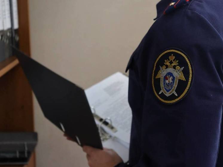 СКР: нижегородского полицейского осудили за применение к задержанному электрошокера