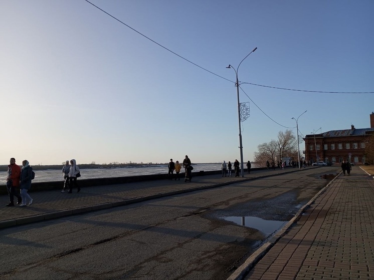 Томь до опасных отметок в районе Томска за ночь не поднялась