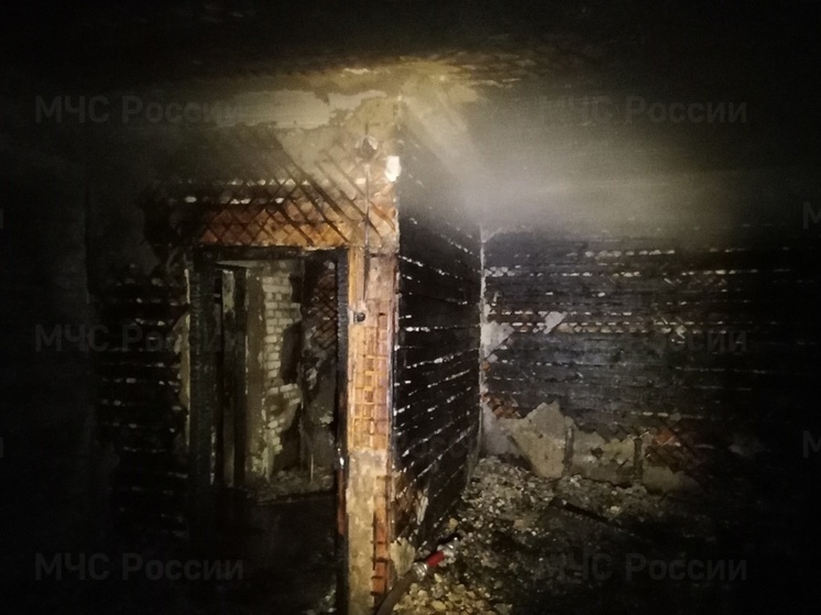 В Ярославской области за сутки сгорели две «заброшки» и гараж