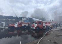 Специалисты Роспотребнадзора выявили превышение предельно допустимых концентраций загрязняющих веществ после крупного пожара складов по улице Логовой,55 в Чите