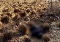 8 апреля около турбазы в селе Артыбаш Республики Алтай был обнаружено тело молодого человека. Следователи установили, что погибший — житель Тюмени, пропавший без вести в конце февраля текущего года.