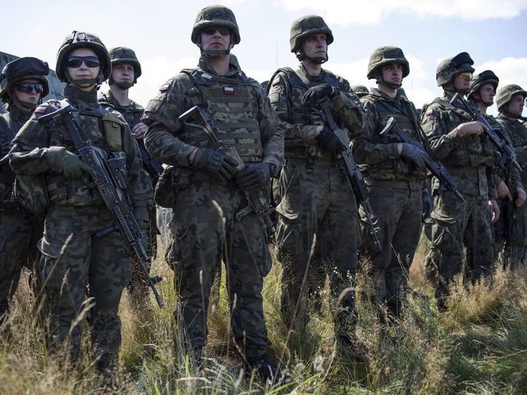 Рогов: Польша готовит своих военных для ввода контингента на Украину