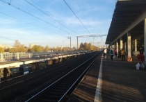 Поезда по высокоскоростной магистрали «Москва — Петербург» будут ходить каждые 10 минут. Об этом сообщила пресс-служба РЖД в telegram-канале.
