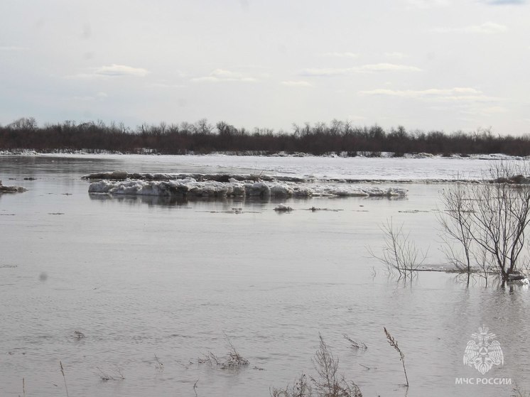 Паводок 2024: ледоход на Томи остановился на пути к Северску