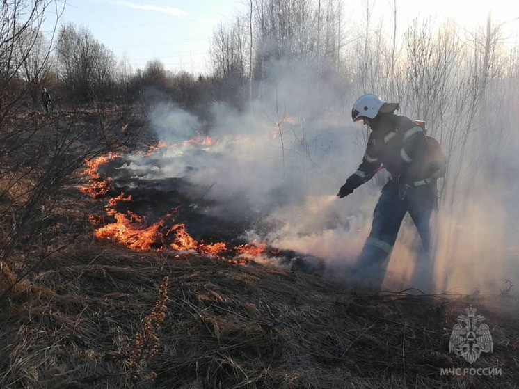 11 апреля в Ивановской области горели 2165 квадратных метров сухой травы