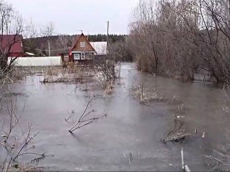 В Новосибирской области затопило более 200 участков