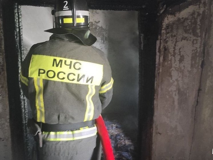 Двоих детей госпитализировали после задымления в частном доме в Каланчаке