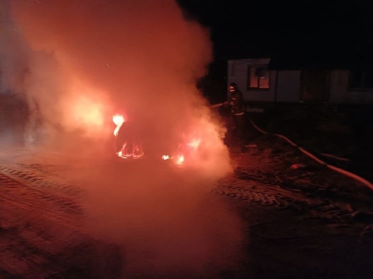 В курской деревне Духовец ночью дотла сгорела легковушка ВАЗ