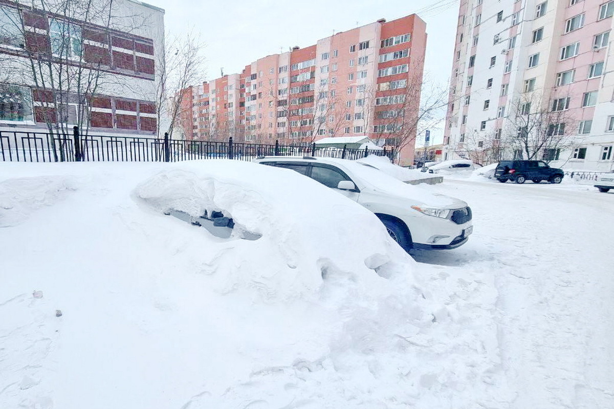 В Новом Уренгое разыскивают хозяев авто-подснежников - МК Ямал