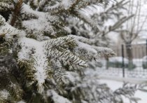 Жителей Забайкальского края предупредили о ухудшении погоды 14 апреля. Прогнозируются сильный ветер до 19-24 м/с, дождь, снег, местами сильный и понижение температуры на 8 градусов и больше, сообщили 12 апреля в telegram-канале МЧС региона.