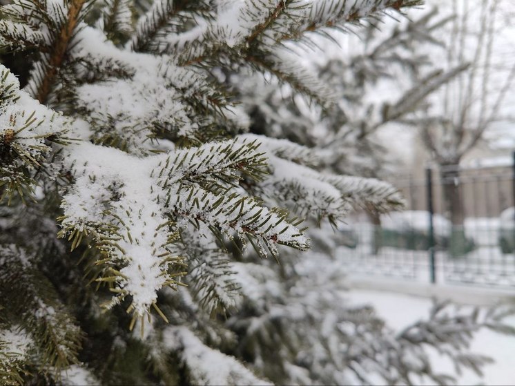 Снег с дождем и сильный ветер спрогнозировали в Забайкалье 14 апреля