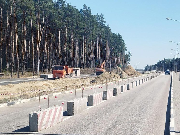 У белгородского Пикник-парка сделают остановки карманного типа