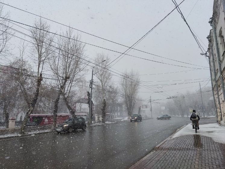 Снег с дождём и сильный ветер: в Томской области объявлено штормовое предупреждение