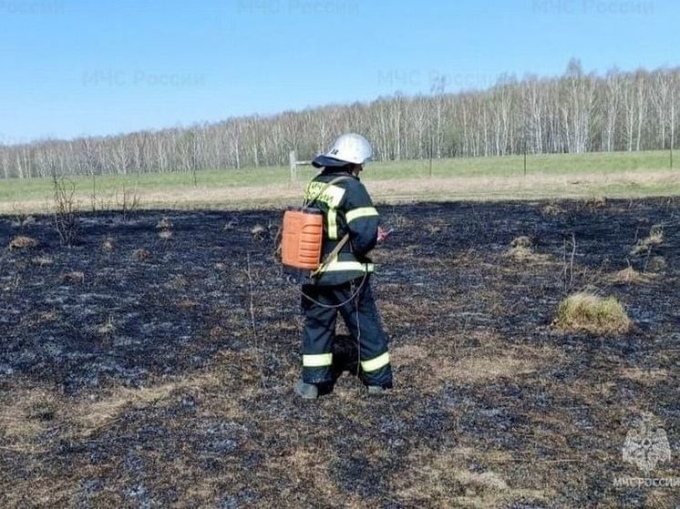 В Орловской области 10 раз за сутки тушили сухую траву и мусор