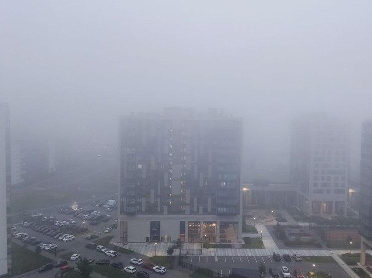 МЧС предупредило петербуржцев о тумане 13 апреля
